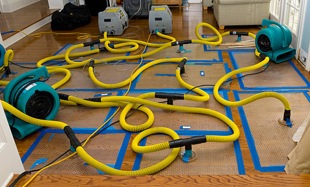 Professional Water Damage Repair technician working in Mesa, WA